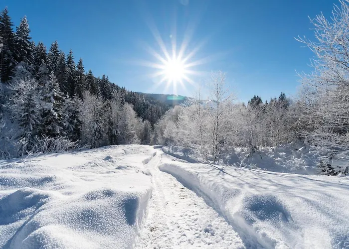 Vakantiehuis Haus Weissbach
